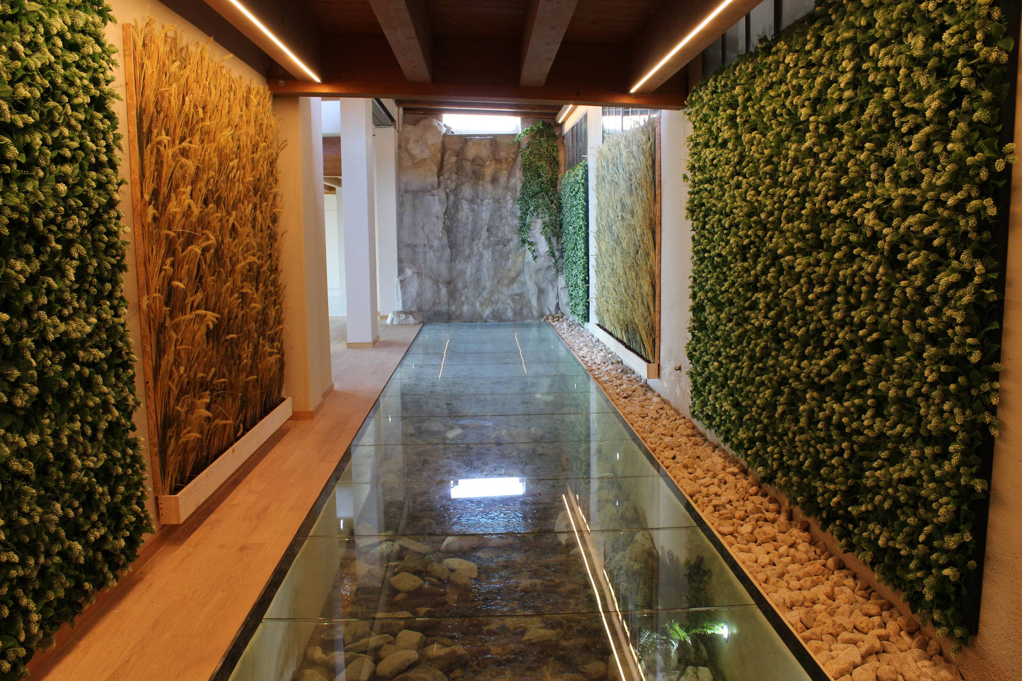 BRANDY XO COLLESI 700ml 40%