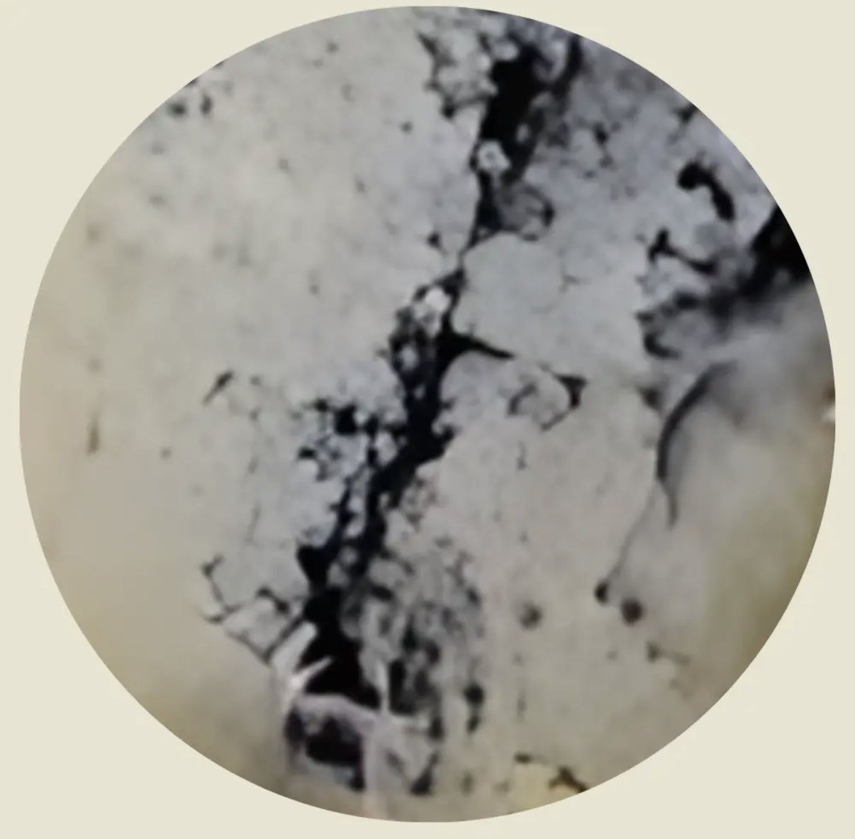 Pecorino Marmorizzato al Tartufo “Collezione” – Ein toskanisches Meisterwerk mit Trüffel 400g