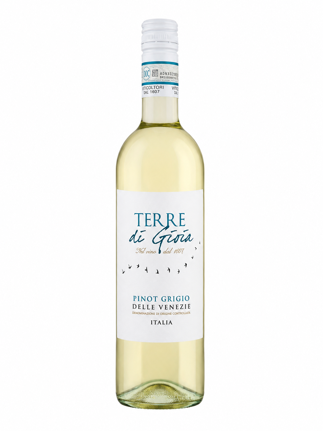 Terre di Gioia Pinot Grigio Delle Venezie Eleganter italienischer Weißwein mit frischer Leichtigkeit 0,75l