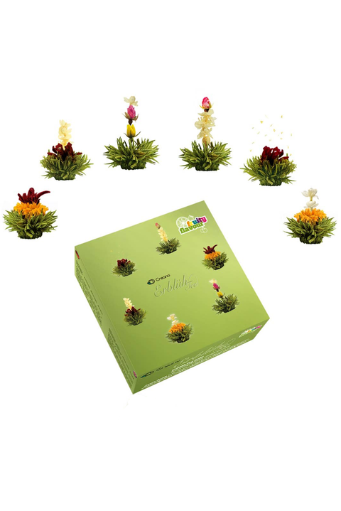 Creano Teeblumen Mix